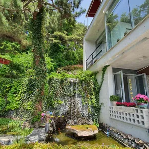 베르츠 율리 리뷰 사진