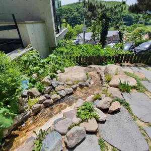 베르츠 율리 리뷰 사진