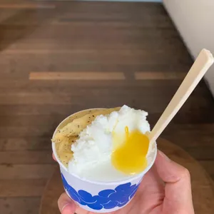 코타티 사진