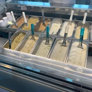코타티 사진
