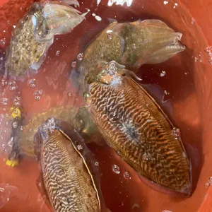 하은수산 사진