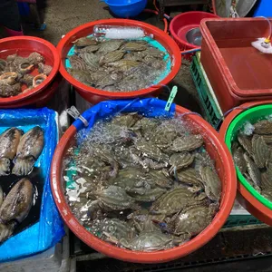 하은수산 리뷰 사진