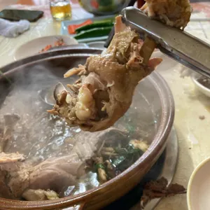 유성옻닭 사진