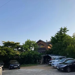 유성옻닭 리뷰 사진
