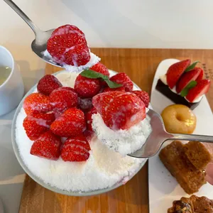 담장옆에국화꽃CCOT 리뷰 사진