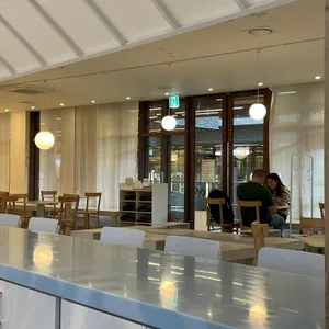 담장옆에국화꽃CCOT 리뷰 사진