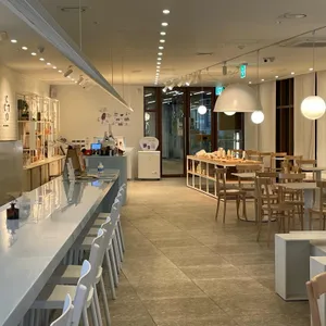 담장옆에국화꽃CCOT 리뷰 사진