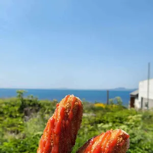 가파도 김진현핫도그 사진