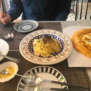 트라고 사진