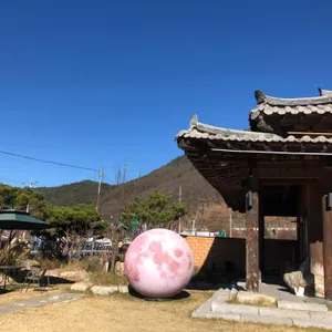카페 뜰 단양 리뷰 사진