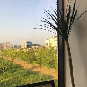 시즈너 리뷰 사진