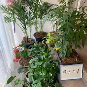 키친봄날 리뷰 사진