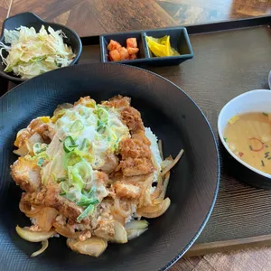 진돈 사진