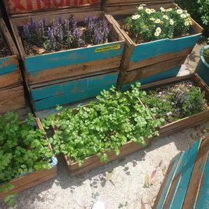 싸이공레시피 대표 사진