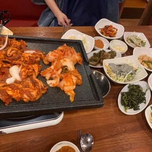 초록애 사진