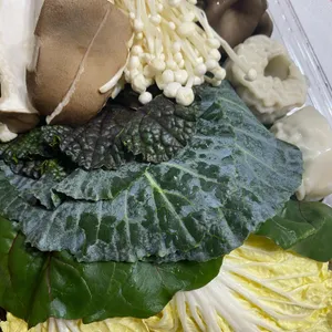 샤브향 사진