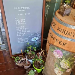 나인 리뷰 사진