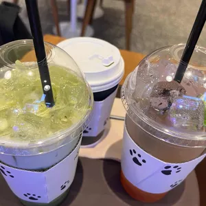 카페 미뇽 사진