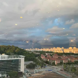 부페파크 리뷰 사진