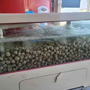 철가방 리뷰 사진