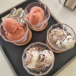 도카 사진