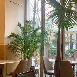 CAFE DIVINE 리뷰 사진