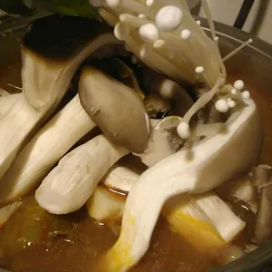 심술 사진