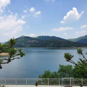 상록수 리뷰 사진