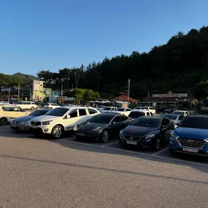 능이꿩만두국 리뷰 사진
