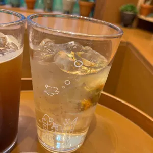 파란만잔 사진