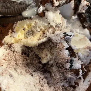 설빙 리뷰 사진