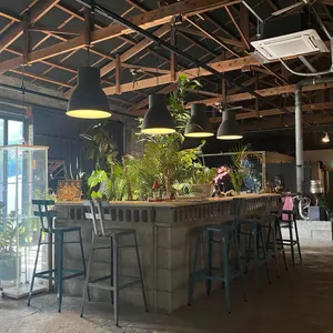 플랜트202 리뷰 사진