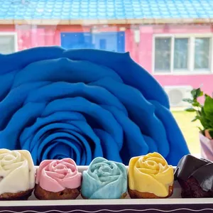 블루로즈 553 사진