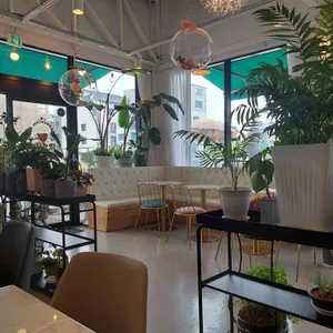 카페온실 리뷰 사진