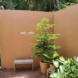 아미꼬뜨 리뷰 사진