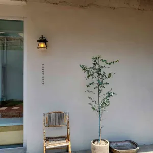 아미꼬뜨 리뷰 사진