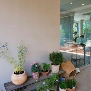 아미꼬뜨 리뷰 사진