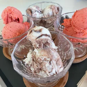 도카 사진