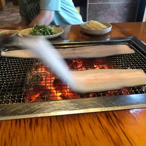 장어사냥 사진