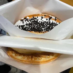 와플대학 사진