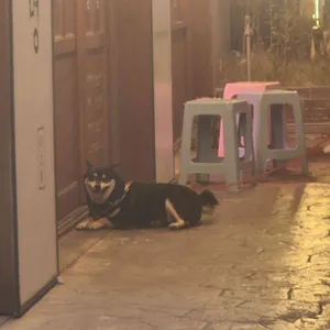 목구멍 리뷰 사진