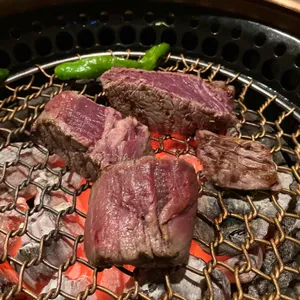 뜨락 사진