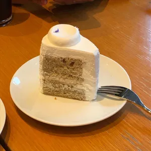 아티제 사진