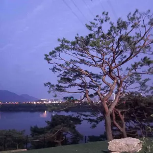 카페 뷰66 리뷰 사진