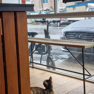 스펑크커피 리뷰 사진