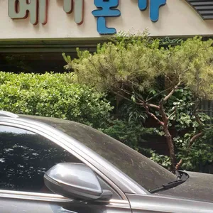 메기본가 리뷰 사진