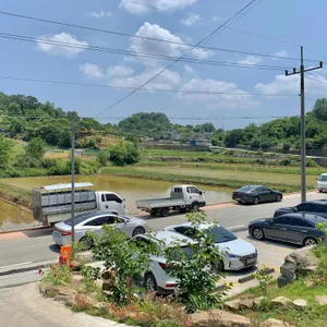 육면 리뷰 사진