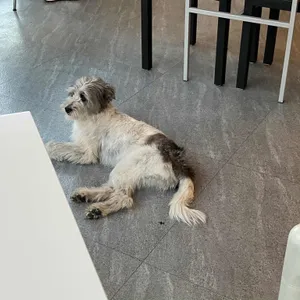 파피커피베이크 리뷰 사진