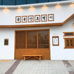 용봉산 호랭이 리뷰 사진