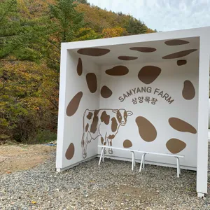 대관령 삼양목장 리뷰 사진